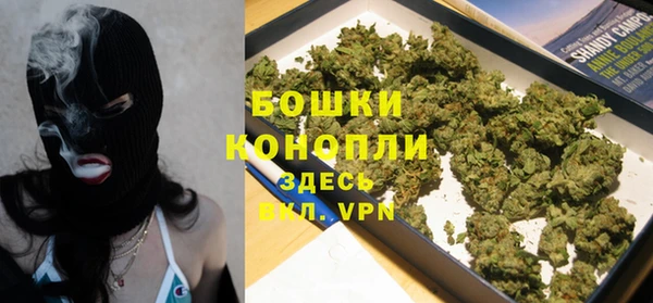 крисы Баксан