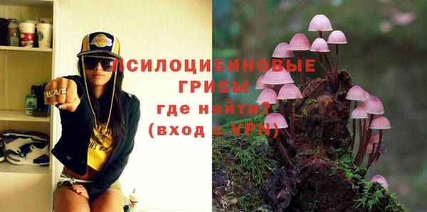 крисы Баксан